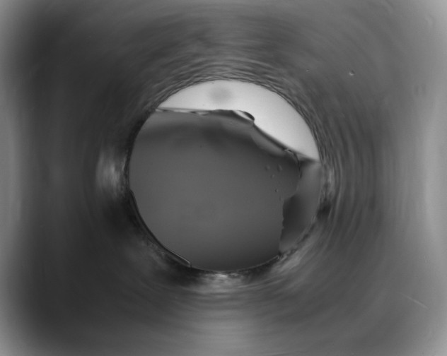 X0000088480239200706121536