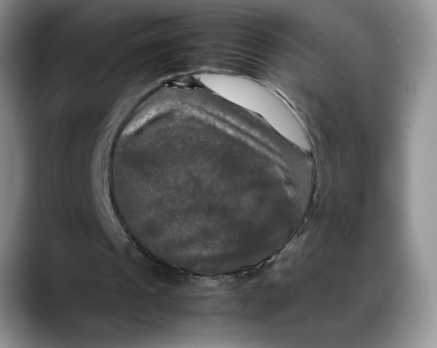 X0000088480241200706121536