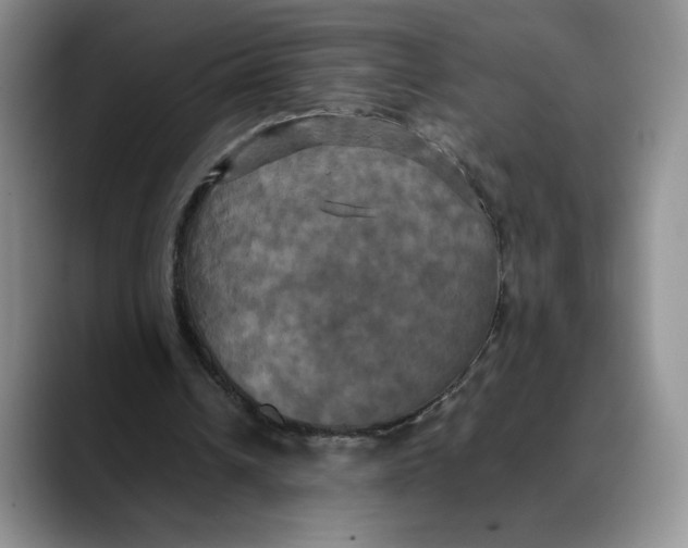 X0000088480242200706121536