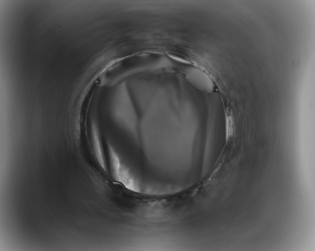 X0000088480243200706121536