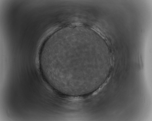 X0000088480245200706121536