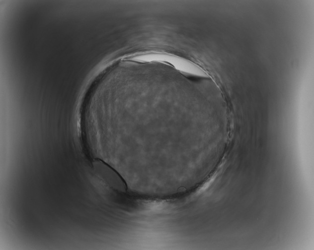 X0000088480246200706121536