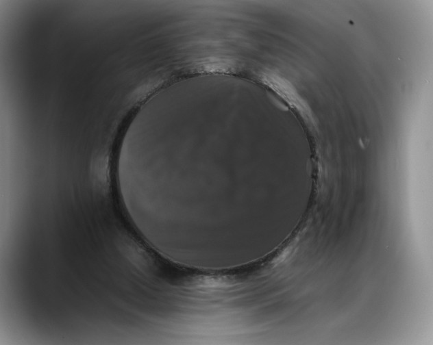 X0000088480250200706121536