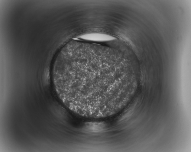 X0000088480251200706121536