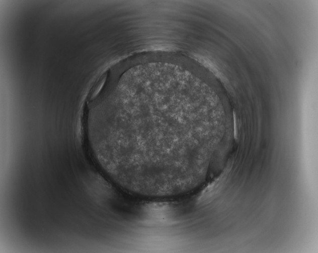 X0000088480252200706121536