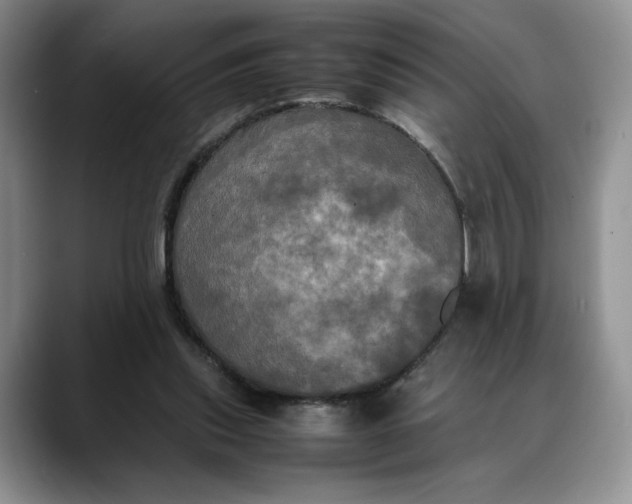 X0000088480253200706121536