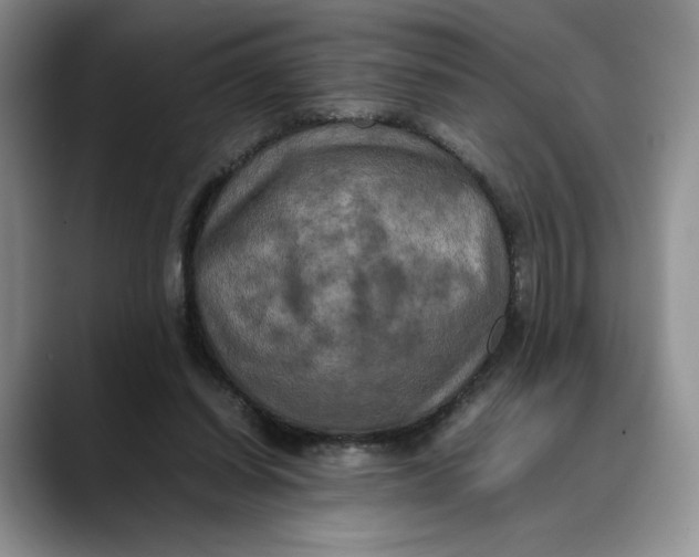 X0000088480254200706121536