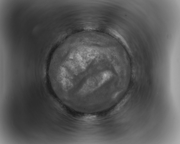 X0000088480257200706121536