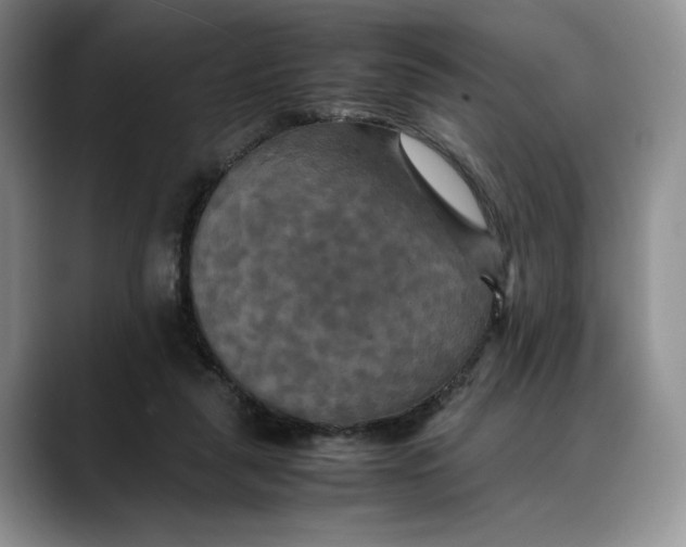 X0000088480259200706121536