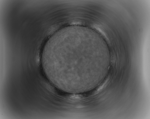 X0000088480261200706121536