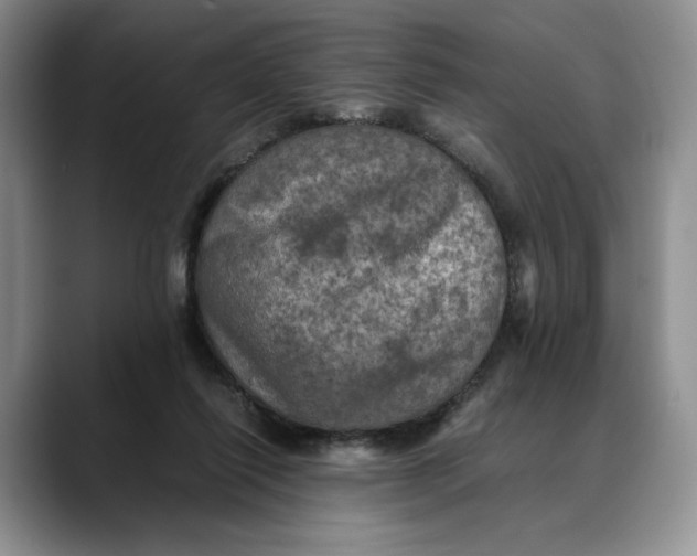 X0000088480262200706121536