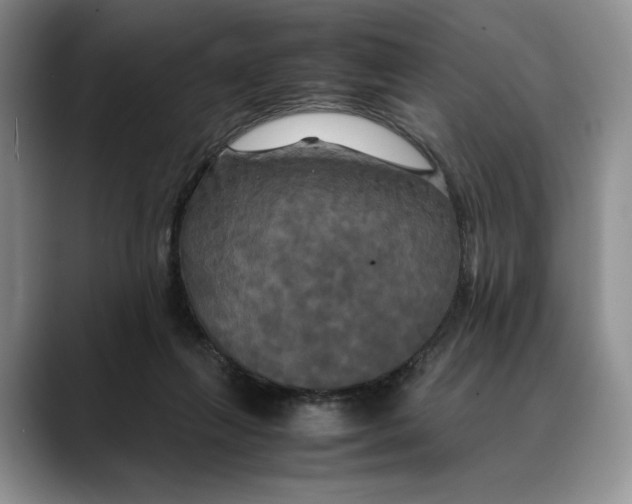 X0000088480263200706121536