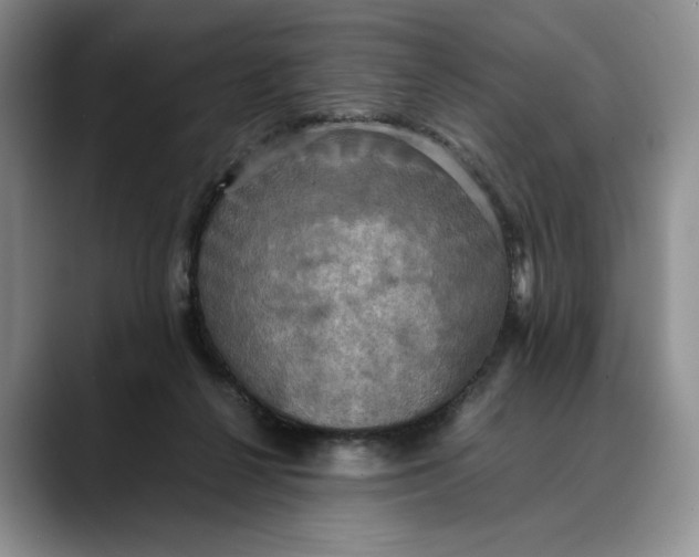 X0000088480264200706121536