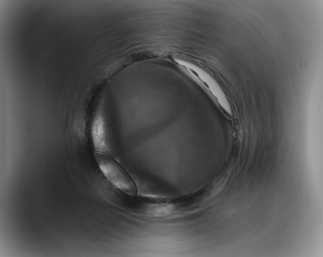 X0000088480266200706121536