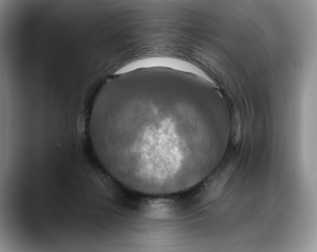 X0000088480268200706121536