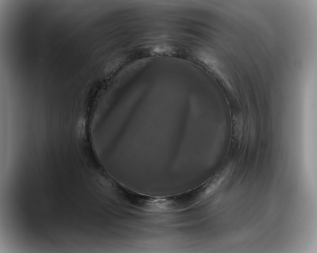 X0000088480269200706121536