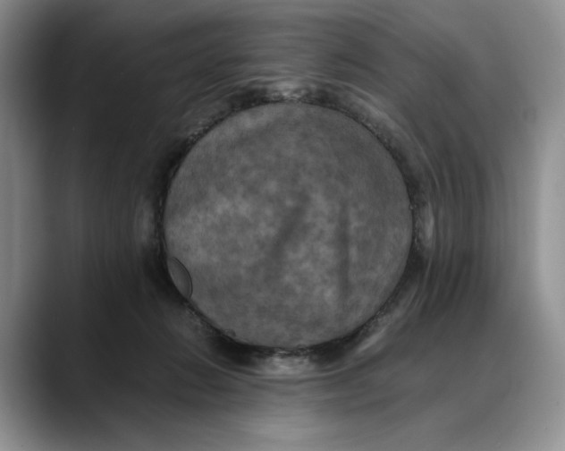 X0000088480270200706121536