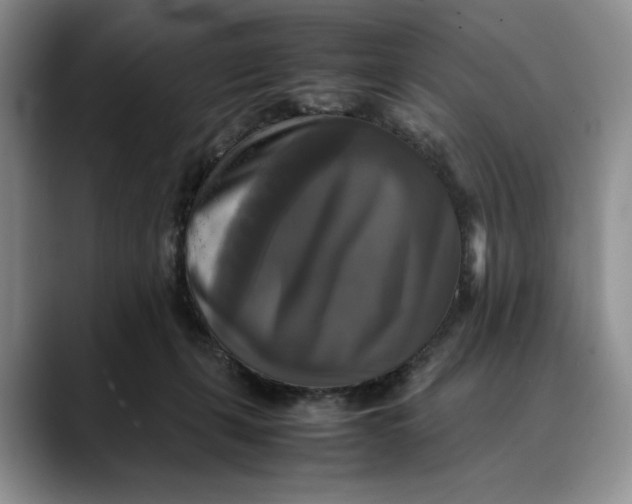 X0000088480271200706121536