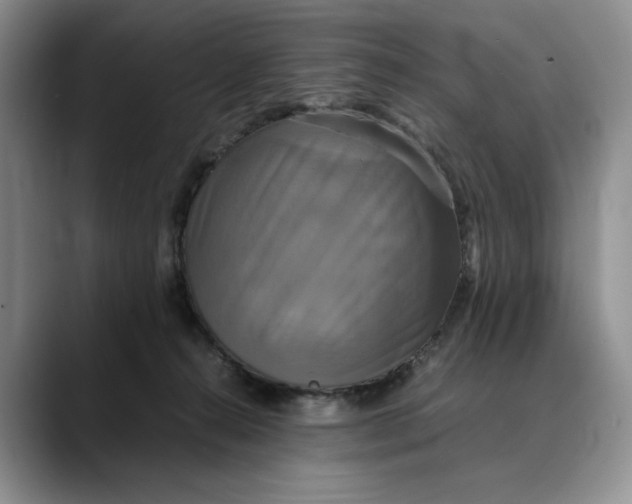 X0000088480272200706121536