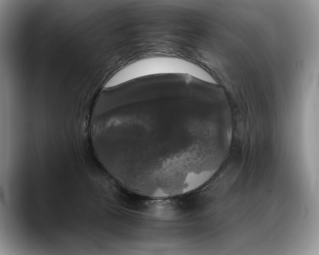 X0000088480273200706121536