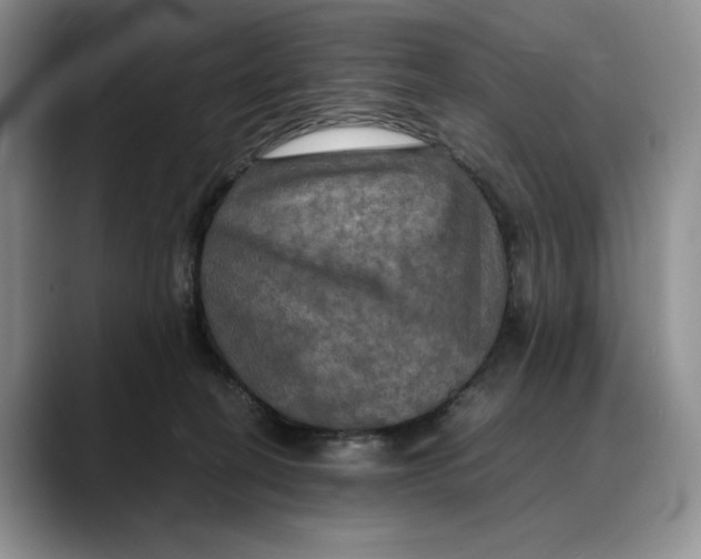 X0000088480274200706121536