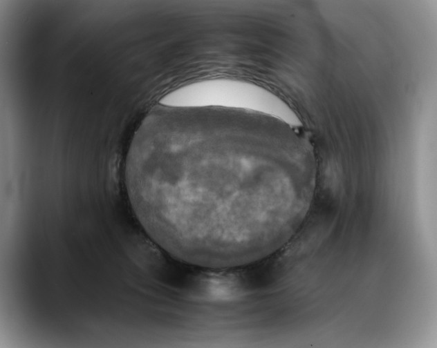 X0000088480275200706121536