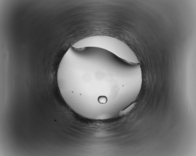 X0000088480276200706121536