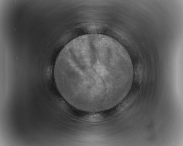 X0000088480278200706121536