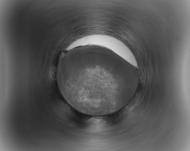 X0000088480280200706121536