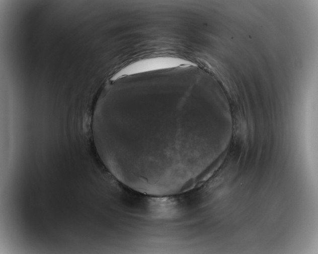 X0000088480281200706121536