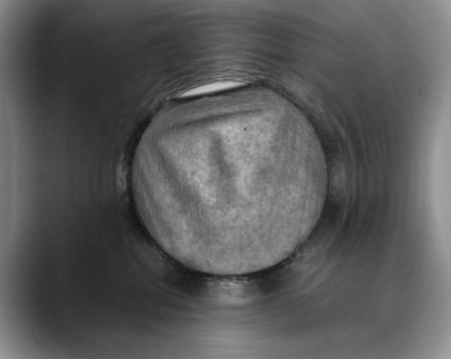 X0000088480282200706121536