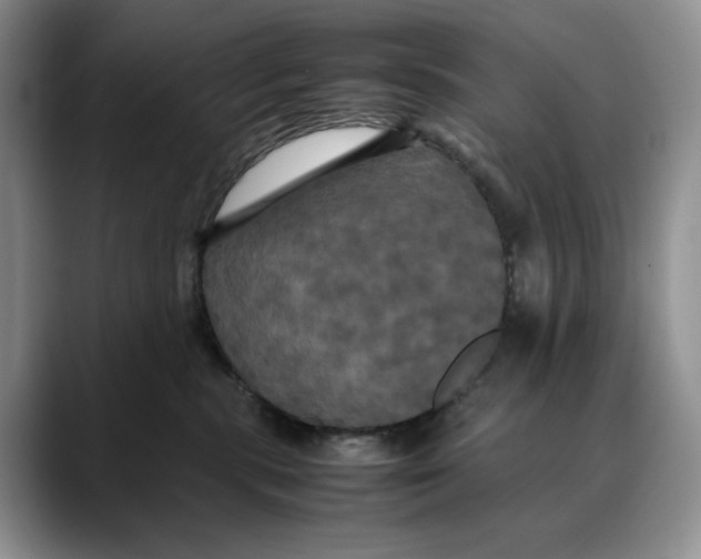 X0000088480283200706121536