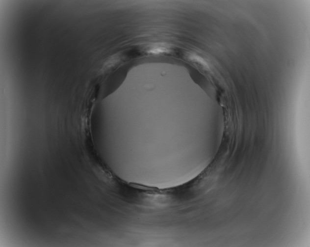 X0000088480284200706121536