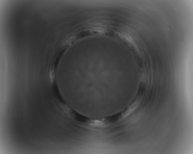 X0000088480285200706121536