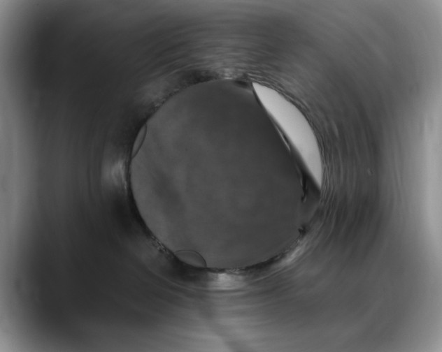 X0000088480286200706121536