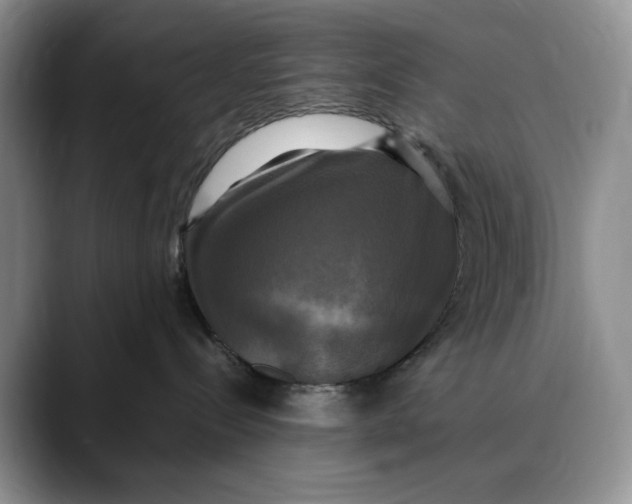 X0000088480288200706121536