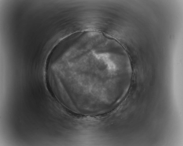 X0000088480290200706121536