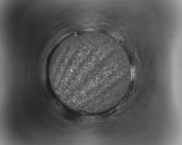 X0000088480291200706121536