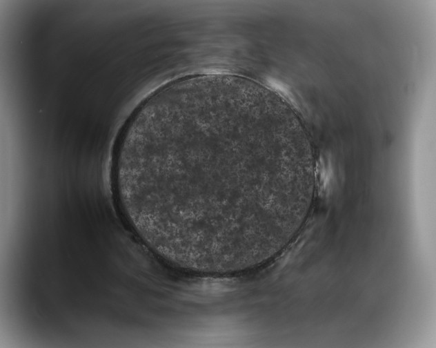 X0000088480292200706121536