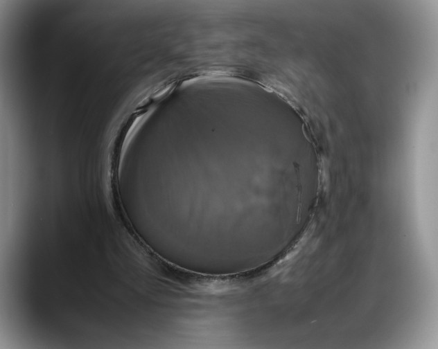 X0000088480293200706121536