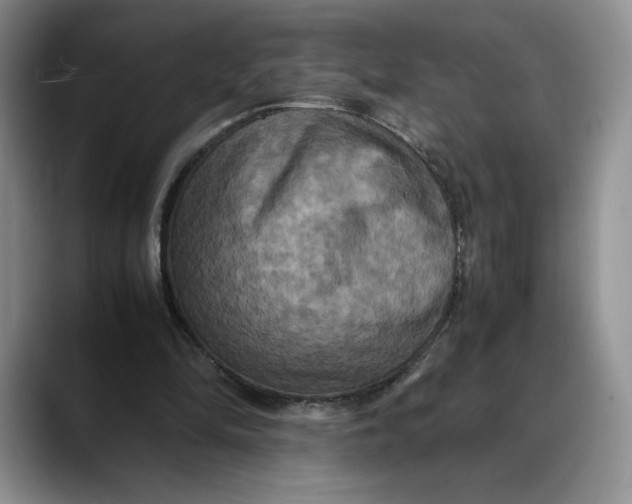 X0000088480294200706121536