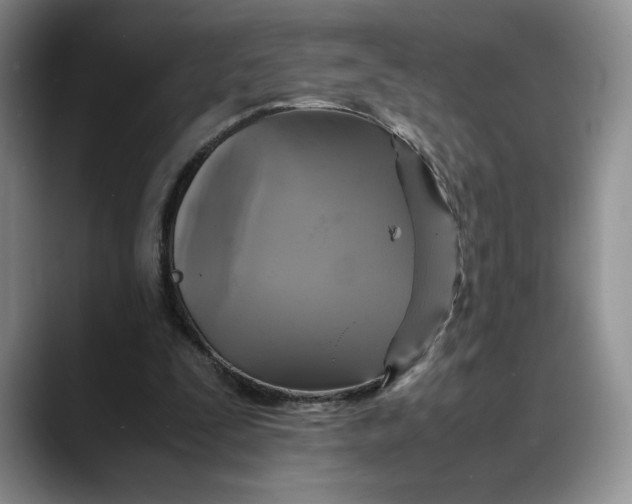 X0000088480295200706121536