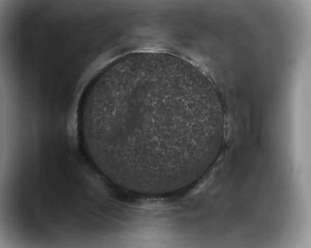 X0000088480296200706121536