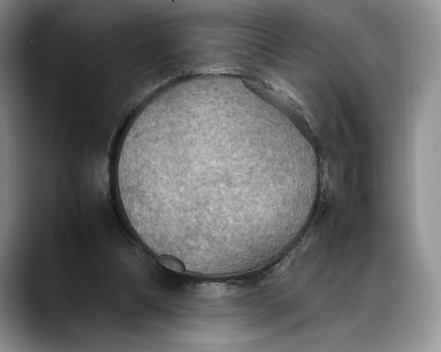 X0000088480298200706121535