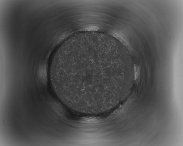 X0000088480300200706121535