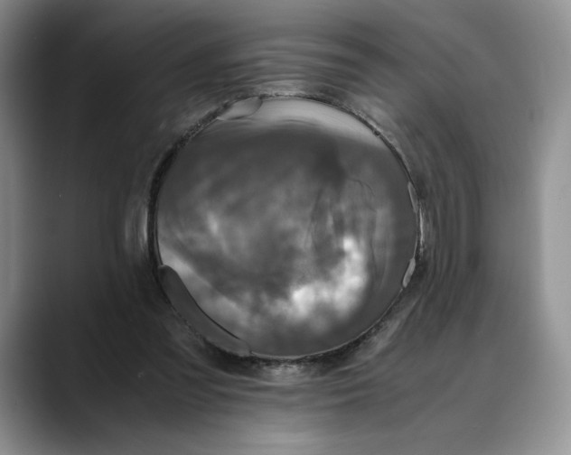 X0000088480301200706121535