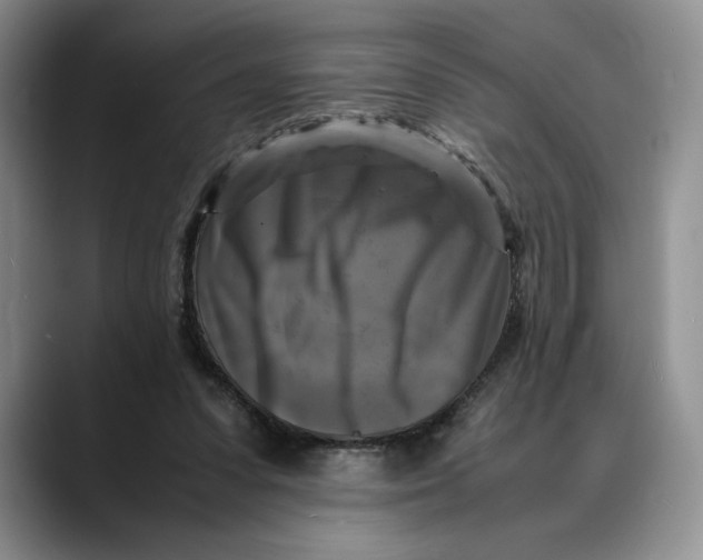 X0000088480303200706121535