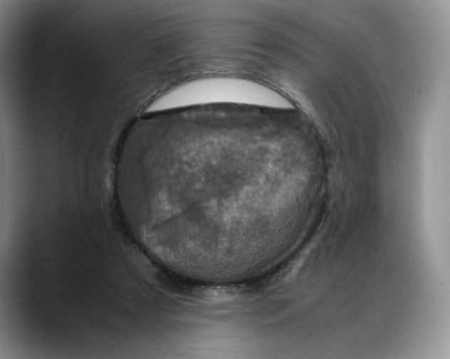 X0000088480305200706121535