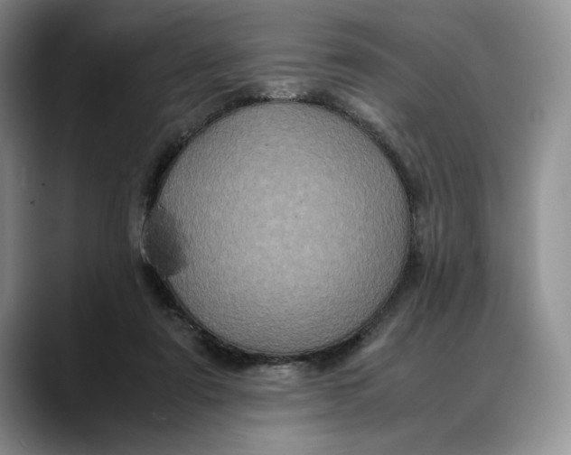 X0000088480307200706121535