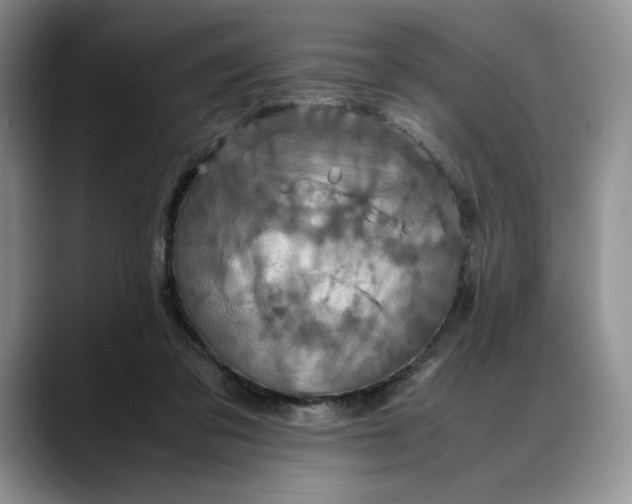 X0000088480309200706121535